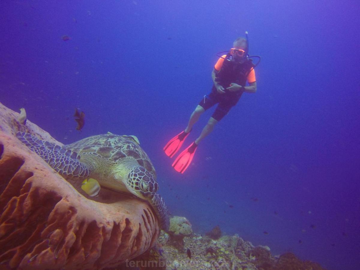 Anema Wellness & Resort Gili Lombok - Diving Center Padi Tanjung Kültér fotó